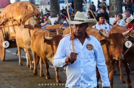 Trindade amanheceu tomada pela fé, devoção e tradição nesta quinta-feira, 3 de julho, com o emocionante desfile dos carreiros, que iniciou em frente à Igreja Matriz do Divino Pai Eterno.